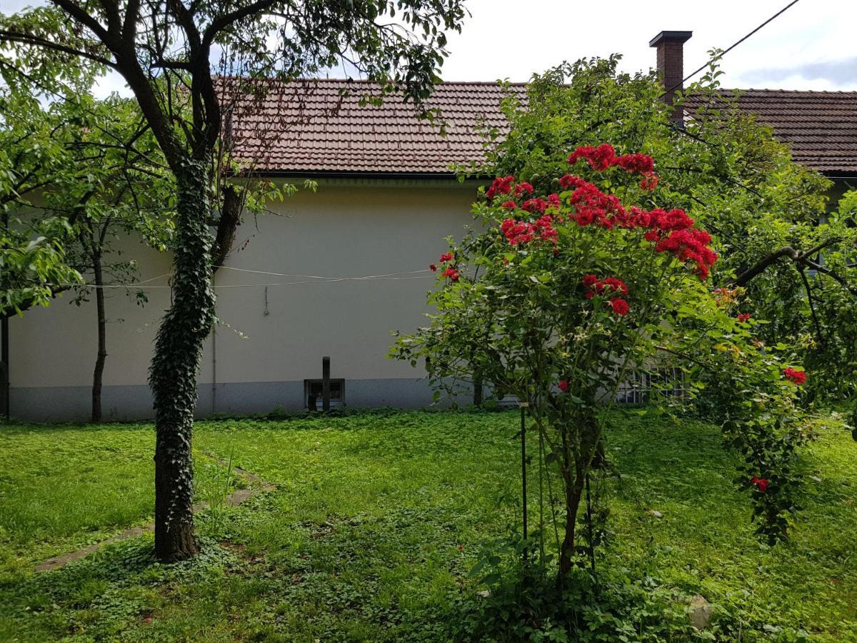 Villa Coola Ljubljana Exterior photo